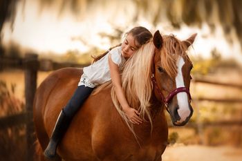 Советы начинающим: первый шаг к конному спорту
