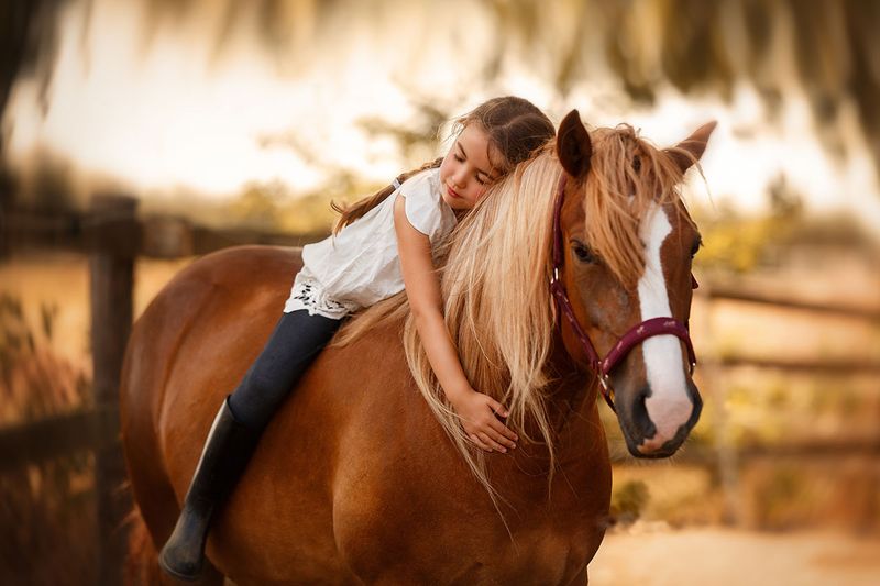 Советы начинающим: первый шаг к конному спорту